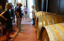 Wine Tour with Lunch and Wine Tasting