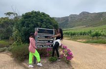Private Top Award-Winning Cape Wine Tasting Full Day Tour