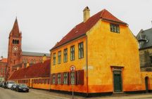  3h Private walking tour, Copenhagen