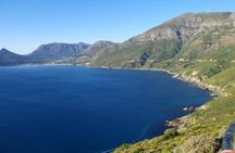 Half-Day Cape Peninsula Tour from Cape Town