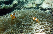 Krabi to James Bond and Hong Islands Offbeat Speedboat Tour