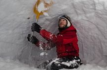 Arctic Night – A Survival Workshop