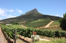 Half-Day Stellenbosch Winelands Tour from Cape Town