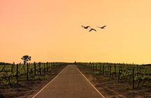 Half-Day Stellenbosch Winelands Tour from Cape Town