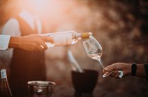 Half-Day Stellenbosch Winelands Tour from Cape Town