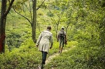 Heeloya Village Trek from Kandy