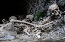 Herculaneum small group tour with an archaeologist - skip the line 