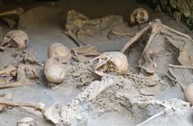 Herculaneum small group tour with an archaeologist - skip the line 