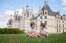 Loire Valley Day Trip with 3 Castles with Chambord and Chenonceau