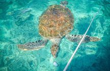 4H Lux 40' Catamaran All-Inclusive in Tulum and Playa del Carmen.