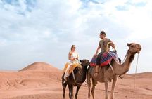 Atlas Mountains and Three Valleys & Waterfalls Guided Day Trip from Marrakech