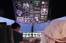 Boeing 737 Flight Simulator Experience