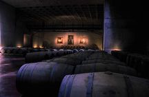 Small group tour in 3 wineries in North Uco Valley with lunch