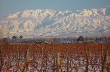Small group tour in 3 wineries in North Uco Valley with lunch