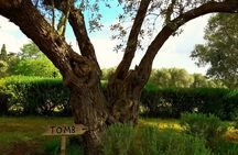Marathon, Thermopylae/ Herodotus History private tour (9 hours)