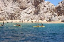 Explore Los Cabos City Tour, Glass-Bottom Boat Ride, Lunch and Shopping!