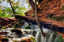 Plitvice Lakes National Park - private day-trip from Zagreb
