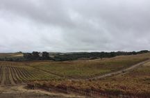 6-Hour Private Limousine Wine Country Tour of Napa or Sonoma