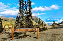Skagway Shore Excursion: Full-Day Tour of the Yukon