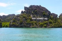 Kilim Geoforest Mangrove Boat Tour (Sharing)