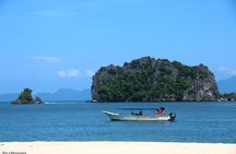 Kilim Geoforest Mangrove Boat Tour (Sharing)