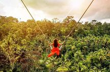 Bali Swing Experience and Kintamani Volcano Tour
