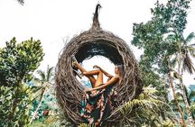 Bali Swing Experience and Kintamani Volcano Tour
