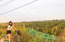 Mekong Delta One Day Trip Group Tour
