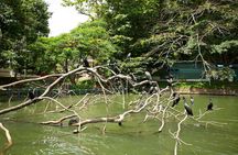Kandy City Day Tour with a verified tour guide