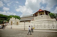 Kandy City Day Tour with a verified tour guide