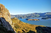 Rock Climbing Christchurch