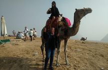 Best Private Half-Day Tour to the Pyramids of Giza with Lunch 