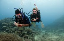 Adventure Dive