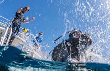 Refresher Dives