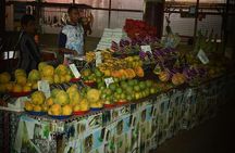 Mud Pools,Temple Sleeping Giants Gardens shopping markets &Lunch Ex Fiji Marriot