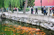 Private 5-Hour Walking Tour: Forbidden City, Hutong&Parks Nearby