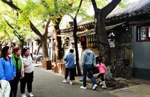 Private 5-Hour Walking Tour: Forbidden City, Hutong&Parks Nearby