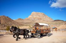 Horseback Ride Joshua Tree Forest Buffalo Lunch Singing Cowboy