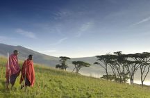 Affordable Short Tanzania Safari (2 Days Camping Safari)