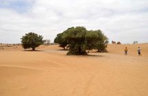 Half Day desert wild animal Park from Agadir by 4x4