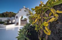 Jameos Agua, Mirador Rio, Foundation - César Manrique Lanzarote