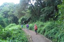 Book Day Hike at Rau Forest Reserve, Near Moshi Town in Tanzania