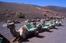 Timanfaya, Golfo, Jameos Agua & Camel Ride (opt) - Lanzarote