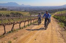 Cape Town: E-bike Wineland tour half-day