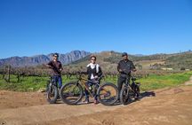 Cape Town: E-bike Wineland tour half-day