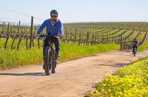 Cape Town: E-bike Wineland tour half-day