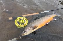 Private Fishing Tour from Reykjavik - Arctic Char and Brown Trout