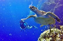  Hurghada: Full-Day Diving Tour with Lunch & Two Dive Sites