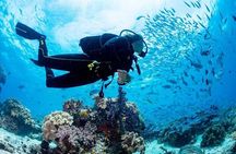  Hurghada: Full-Day Diving Tour with Lunch & Two Dive Sites