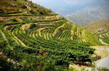 The Grape Escape: Troodos Mountains thru Wine Small Group Tour 7hrs